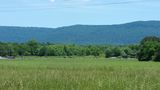 41.8 Hwy 127, Pikeville, TN 37367